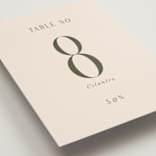 "Fero" - Table Numbers in Blush by Pati Cascino - Detail