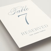 "Leighton" - Table Numbers in Lakeshore Blue by Jennifer Postorino - Detail
