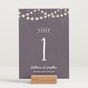 "Garden Lights" - Table Numbers in Plum by Hooray Creative - Displayed (stand not included)