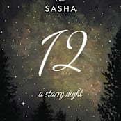 "Starry, Starry Night" - Table Numbers in Shadow by Elly - Detail