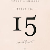 "Simply Perfect" - Table Numbers in Blush by Brianne Larsen - Detail