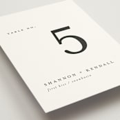 "Sketched Mountains" - Table Numbers in Snow by Mere Paper - Detail