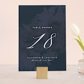 "Dash" - Table Numbers in Midnight by Grace Kreinbrink - Front