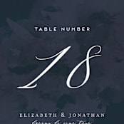 "Dash" - Table Numbers in Midnight by Grace Kreinbrink - Detail