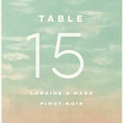 "Postcard from the Desert" - Table Numbers in Sunset by Pink House Press - Detail