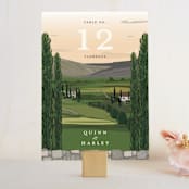 "Amore" - Table Numbers in Sunset by Susan Moyal - Front