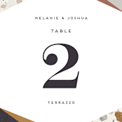 "Terrazzo Frame" - Table Numbers in Mustard by Amy Payne - Detail