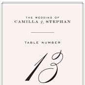 "Simply Framed" - Table Numbers in Blush by Maddy Hague - Detail