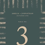 "Simply Modern" - Table Numbers in Jade by Something Noir - Detail
