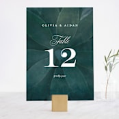 "Succulent Center" - Table Numbers in Cactus by Jessica Williams - Front
