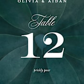"Succulent Center" - Table Numbers in Cactus by Jessica Williams - Detail