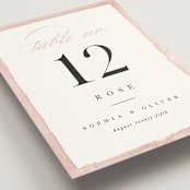 "First Love" - Table Numbers in Blush by Pixel and Hank - Detail