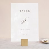"Sonesta" - Table Numbers in Mineral by Hooray Creative - Front