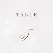 "Sonesta" - Table Numbers in Mineral by Hooray Creative - Detail