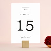 "Elemental" - Table Numbers in Cloud by Snow and Ivy - Front