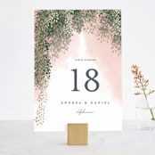 "veil sweet" - Table Numbers in Blush by Cass Imagines - Front