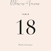 "Just the Two of Us" - Table Numbers in Blush by Jennifer Wick - Detail