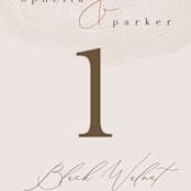 "a hundred years" - Table Numbers in Burnt Umber by Robin Ott - Detail