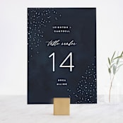 "Celestial" - Table Numbers in Night Sky by Carly Reed Walker - Front