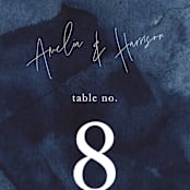 "Plain and Simple" - Table Numbers in Sapphire by Chris Griffith - Detail