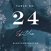 "Midnight Snowfall" - Table Numbers in Navy by Alethea and Ruth - Detail