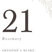 "Herb Garden" - Table Numbers in Taupe by Sarah Brown - Detail
