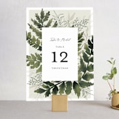 "Love springs eternal" - Table Numbers in Fern by Chris Griffith - Front