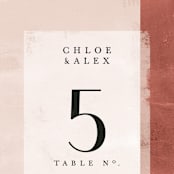 "Dust" - Table Numbers in Sienna by Carrie ONeal - Detail