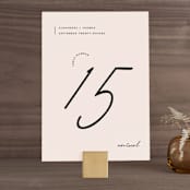 "Aesthetic" - Table Numbers in Blush by Liz Conley - Front