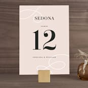 "AND" - Table Numbers in Sunkissed by Jill Means - Front
