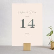 "EverAfter" - Table Numbers in Petal by Rochelle Renee - Front
