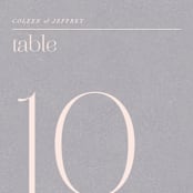 "Legacy" - Table Numbers in Pebble by Leia Matt - Detail