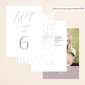 "Ethereal Names" - Table Numbers in Plum by Carolyn MacLaren - Back of Card Options