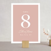 "Party Accordingly" - Table Numbers in Blush by Hudson meet Rose - Front