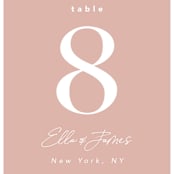 "Party Accordingly" - Table Numbers in Blush by Hudson meet Rose - Detail