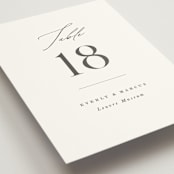 "Everly" - Table Numbers in Snow by Hooray Creative - Detail
