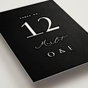 "Modern Classic Names" - Table Numbers in Onyx by Emily Betts - Detail