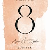 "Swept" - Table Numbers in Blush by Snow and Ivy - Detail