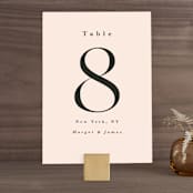 "SoHo" - Table Numbers in Blush by Hudson meet Rose - Front