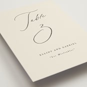 "Scripted Names" - Table Numbers in Ecru by Hooray Creative - Detail