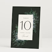 "Juniper" - Table Numbers in Emerald by Kate Ahn - Folded