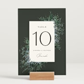 "Juniper" - Table Numbers in Emerald by Kate Ahn - Displayed (stand not included)