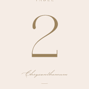 "Understated Elegance" - Table Numbers in Buttercream by Brandy Folse - Detail