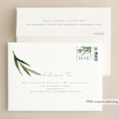 "Botanical Frame" - Wedding Thank You Cards in Fern by Kate Ahn - FREE Recipient Addressing