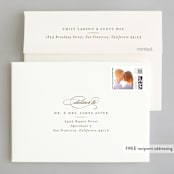 "Valencay" - Wedding Thank You Cards in Silk by chocomocacino - FREE Recipient Addressing