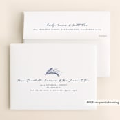 "Aspen" - Wedding Thank You Cards in Midnight by Kristie Kern - FREE Recipient Addressing