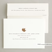 "Autumn" - Thanksgiving Cards in Acorn by Angela Garrick - FREE Recipient Addressing