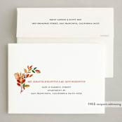 "Seasons" - Thanksgiving Cards in Acorn by Sarah Knight - FREE Recipient Addressing