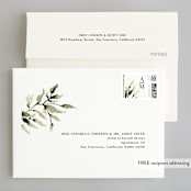 "Rural Romance" - Wedding Thank You Cards in Leaf by Chris Griffith - FREE Recipient Addressing