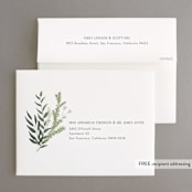 "Collection" - Wedding Thank You Cards in Blanco by Kaydi Bishop - FREE Recipient Addressing